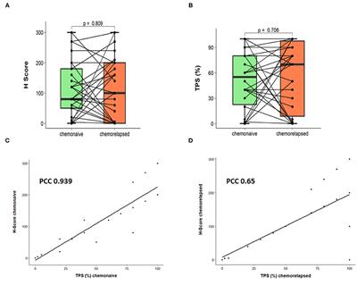 Delta-Like Protein 3 Expression in Paired Chemonaive and Chemorelapsed Small Cell Lung Cancer Samples